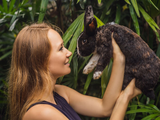 A Guide to the Best Cruelty Free Makeup Brands