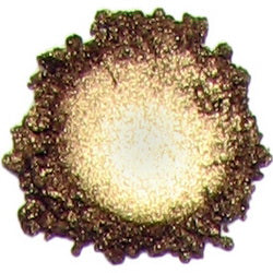 Kylie's Professional Mineral Goddess Loose Eyeshadows - Beauty