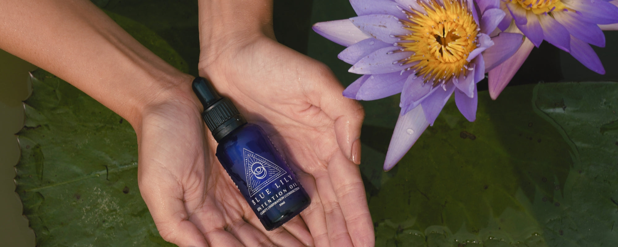 Blue Lily Healing - Blue Lotus Skincare and Tea Online Australia
