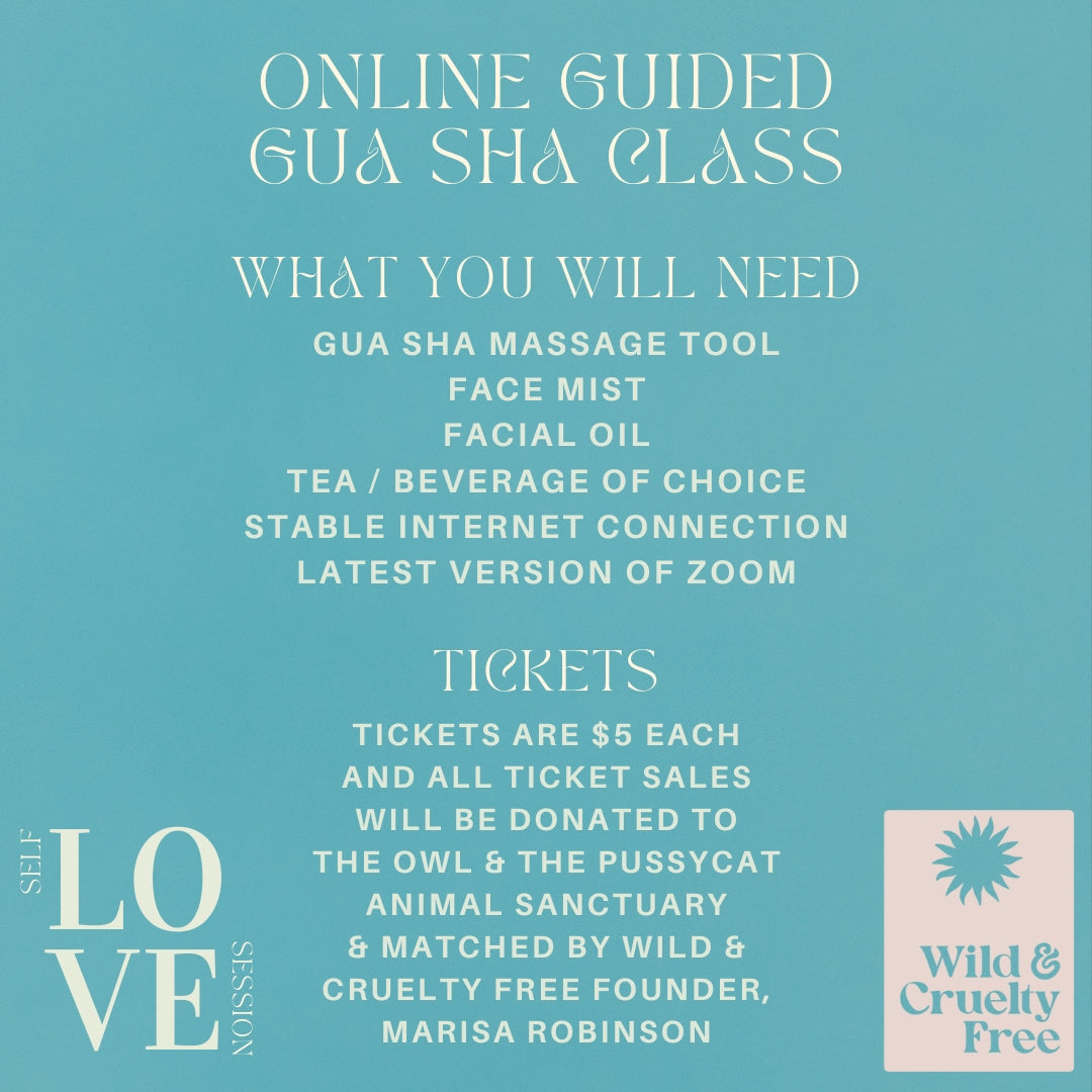 Self Love Session - Online Guided Gua Sha Class