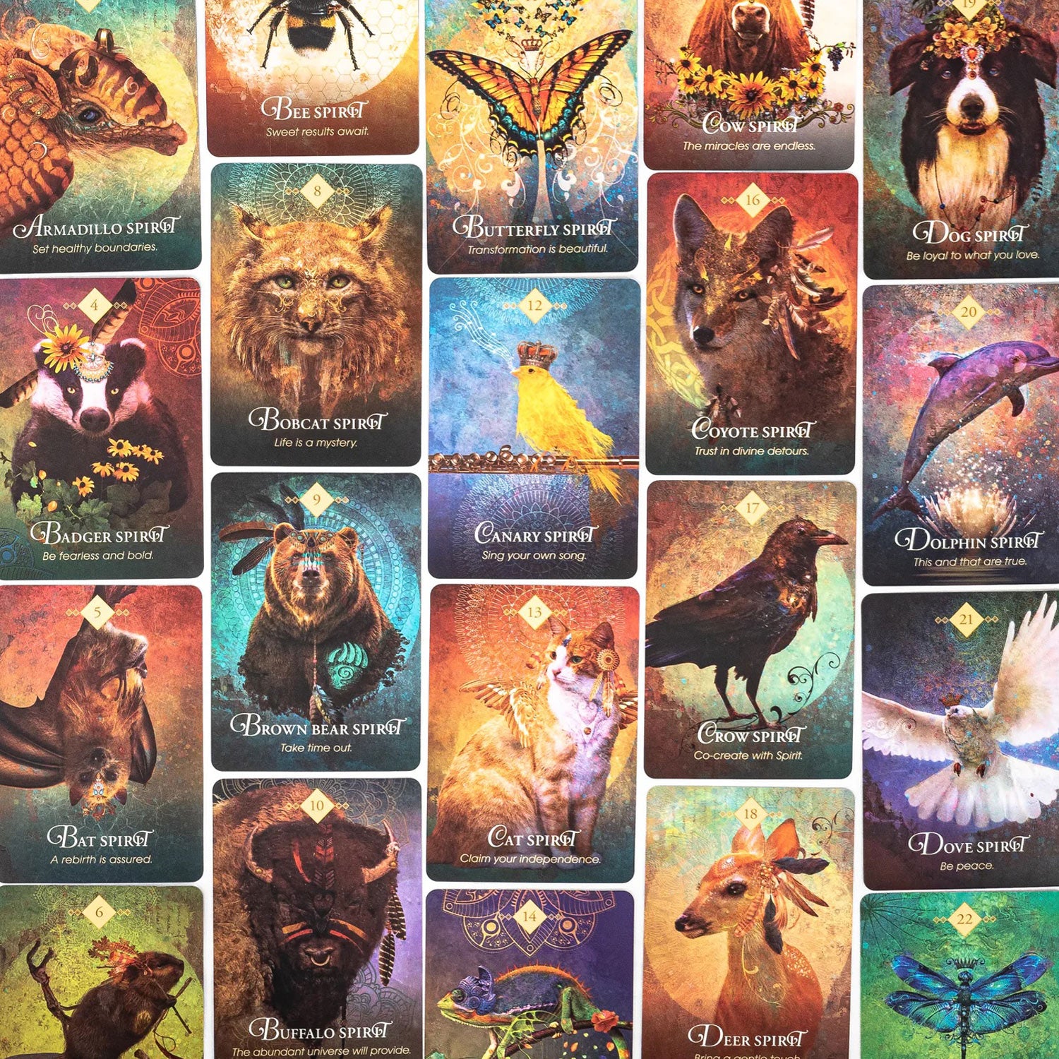 The Spirit Animal Oracle: 68-Card Deck with Guidebook by Colette Baron-Reid