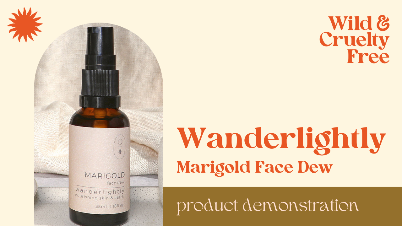 Load video: Wanderlightly Marigold Face Dew Demonstration