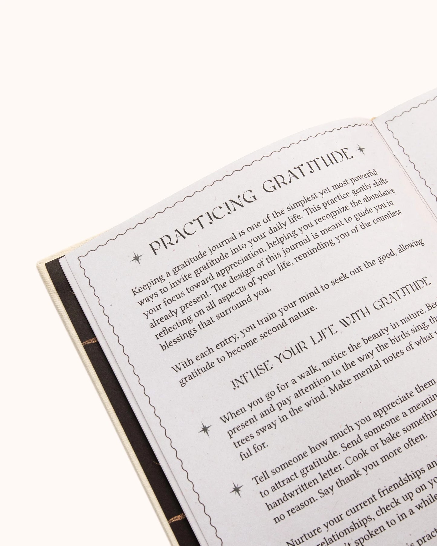 Dreamy Moons Gratitude Journal - Wild and Cruelty Free Rituals and Wellness