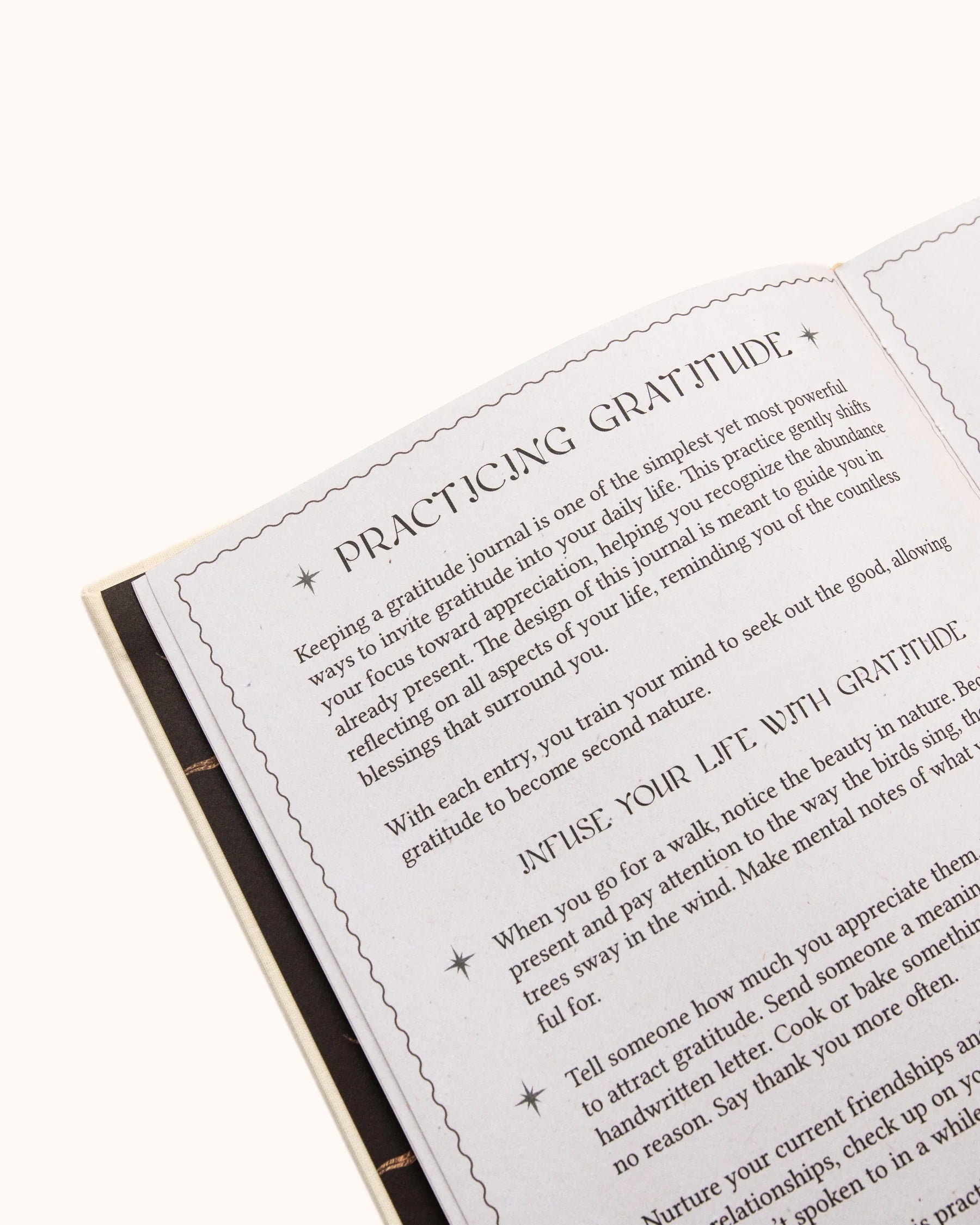 Dreamy Moons Gratitude Journal - Wild and Cruelty Free Rituals and Wellness